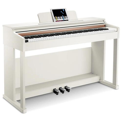 DONNER DDP-100