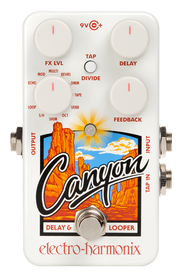 Electro Harmonix Canyon Delay and Looper 