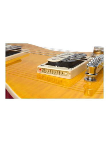 EPIPHONE SLASH APPETITE LP SPECIAL-II CON FUNDA AP