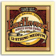 Ernie Ball Earthwood BZ Medium