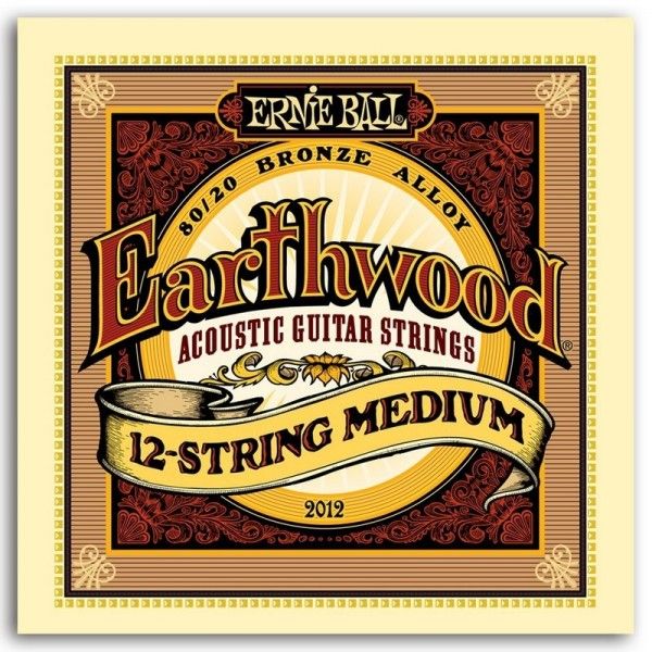 Ernie Ball Earthwood BZ Medium