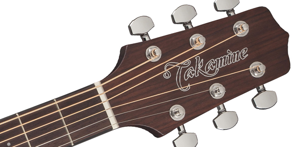 Takamine GD10-NS