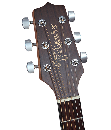 Takamine GD11MCE-NS