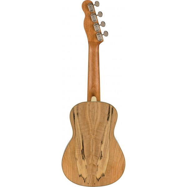 FENDER UKELELE ZUMA EXOTIC CONCERT SPALTE MAPLE WN