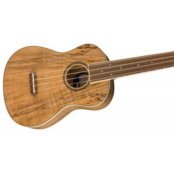 FENDER UKELELE ZUMA EXOTIC CONCERT SPALTE MAPLE WN