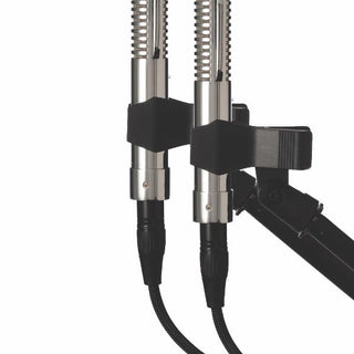Warm Audio WA-2FT Fen-Tone (Pareja)