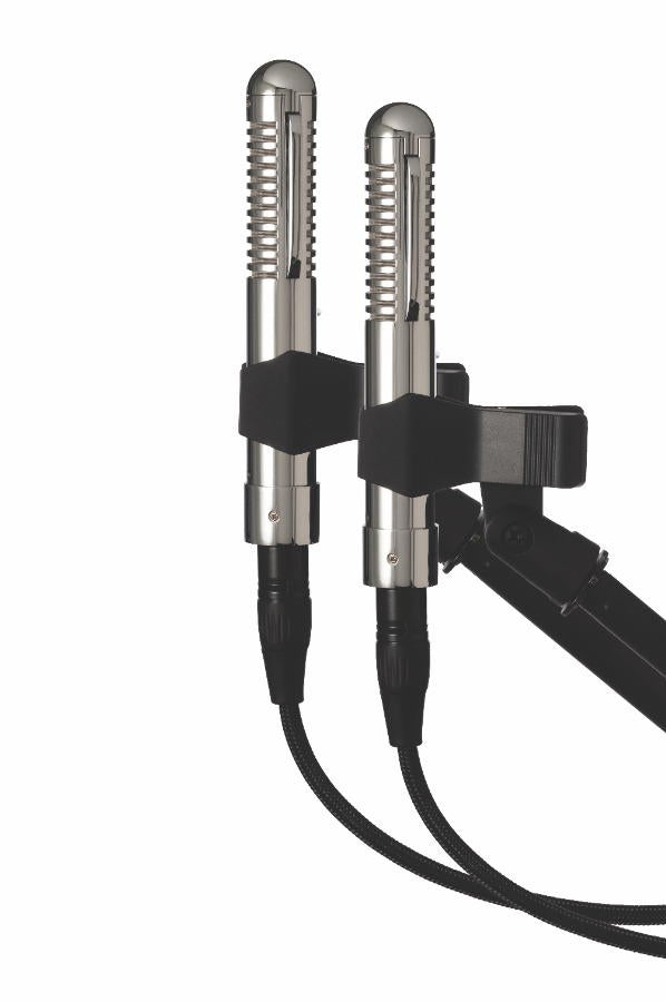 Warm Audio WA-2FT Fen-Tone (Pareja)