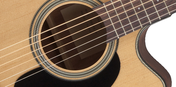 Takamine GD10CE-NS