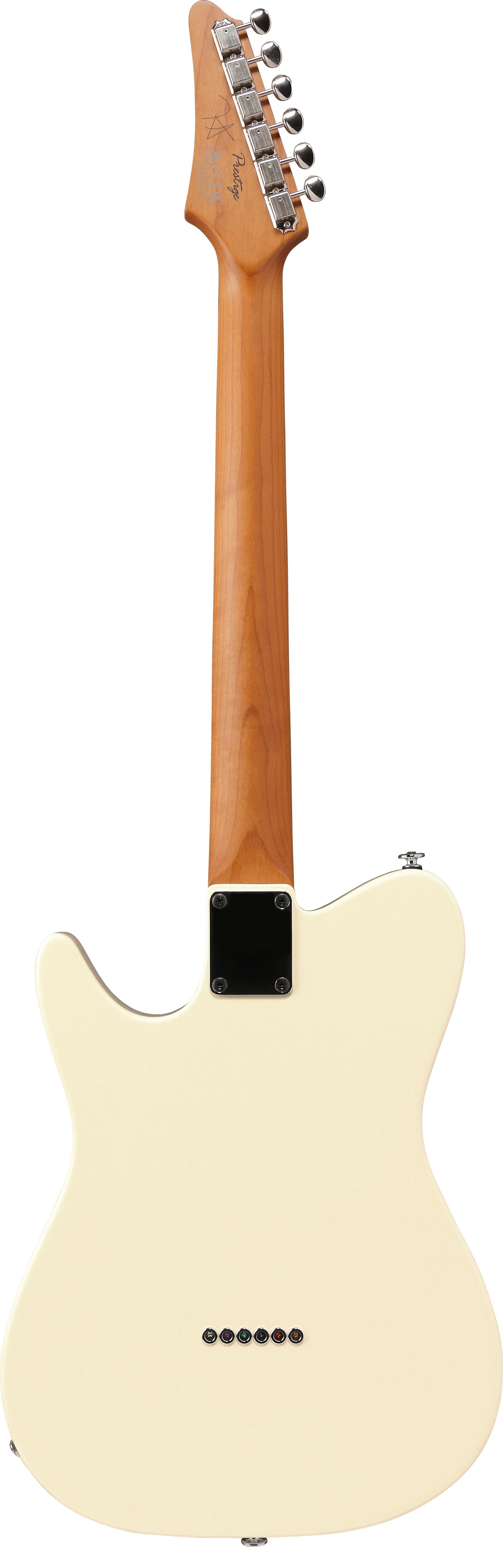 IBANEZ FLATV2 MSN