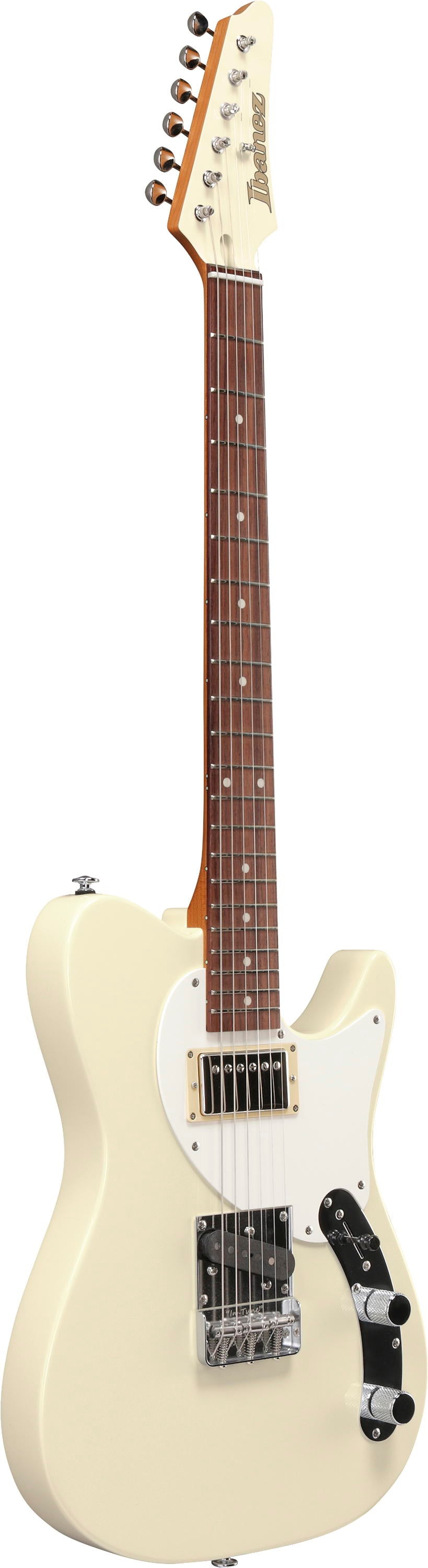 IBANEZ FLATV2 MSN