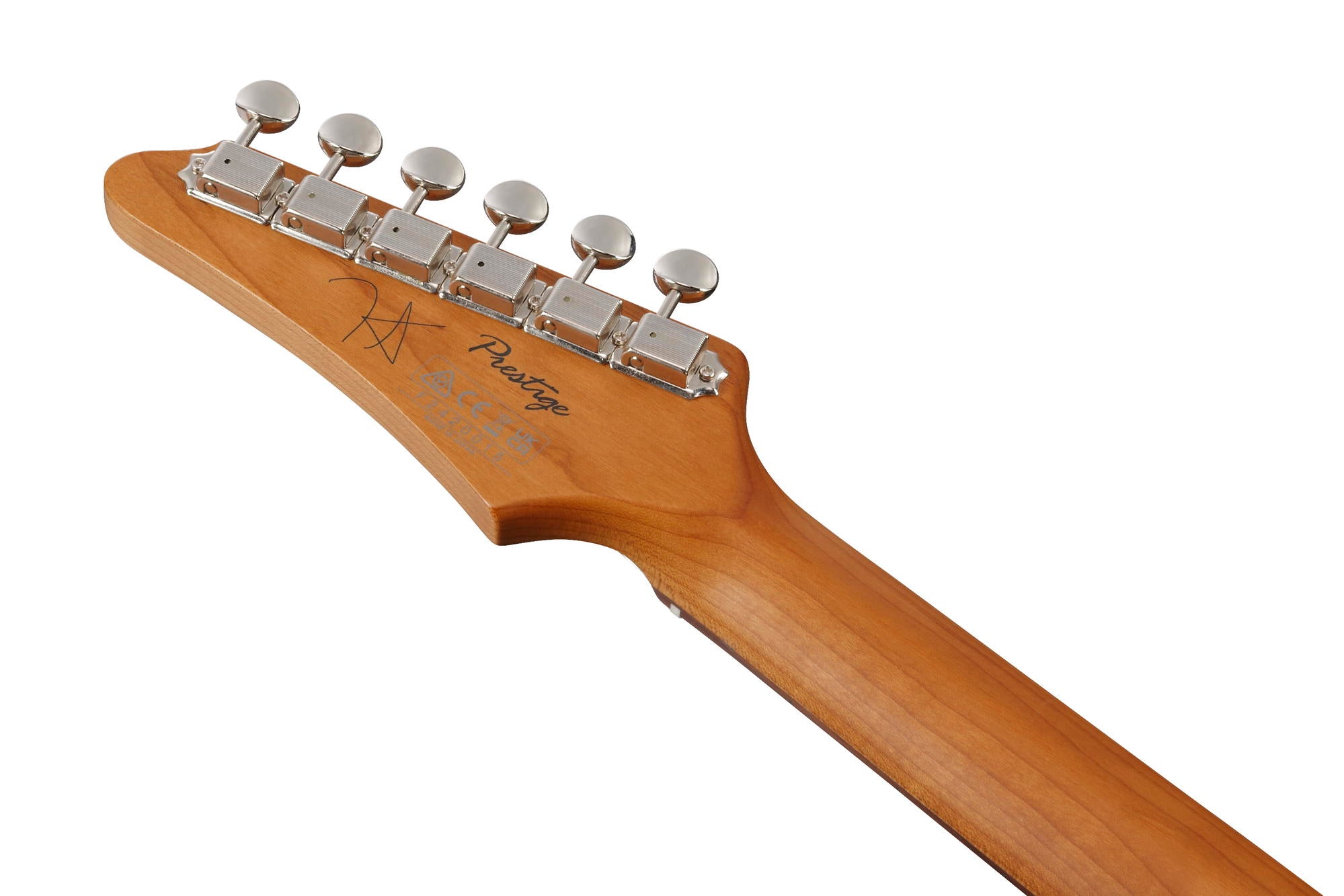 IBANEZ FLATV2 MSN