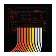 Serato 12” Roland TR-808 X Serato Pressing (pair) Vinilo de Control