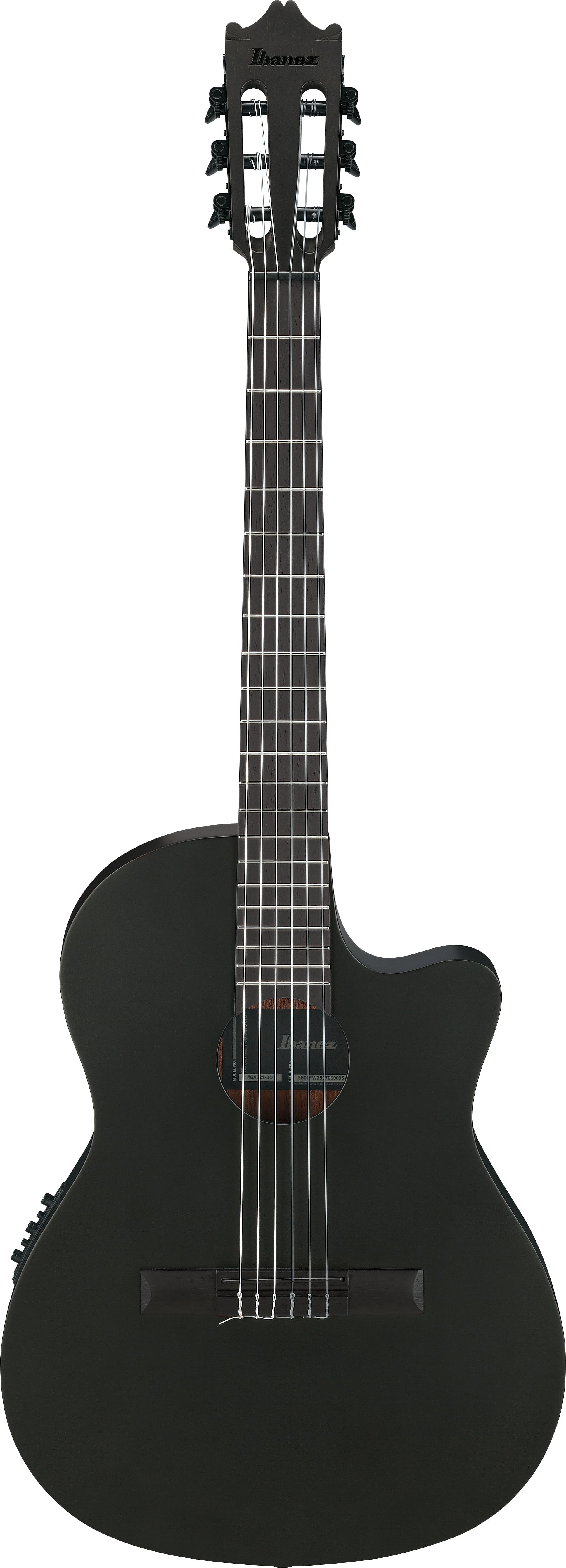 IBANEZ GA621 BOT
