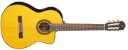 Takamine GC5CE-NAT