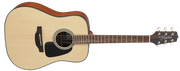 Takamine GD10-NS