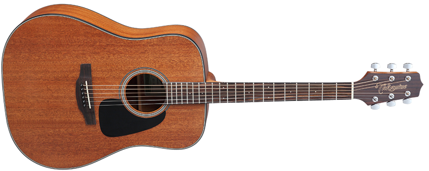 Takamine GD11M-NS