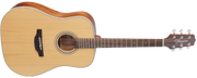Takamine GD20-NS
