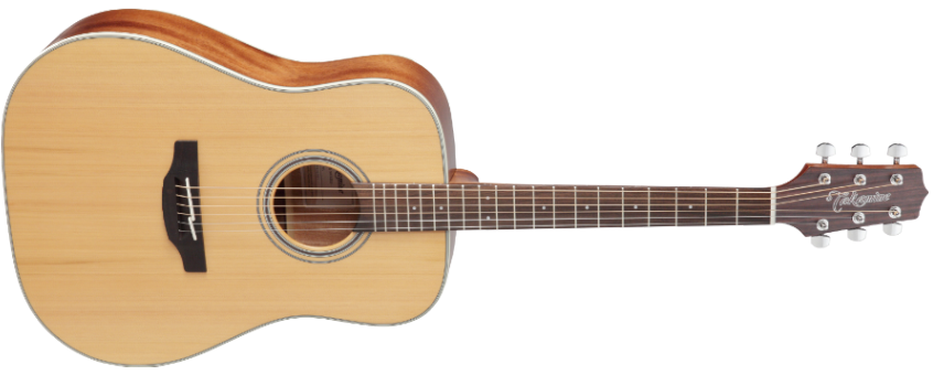 Takamine GD20-NS