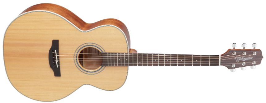 Takamine GN20-NS 