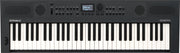 ROLAND GOKEYS5-GT GRAPHITE