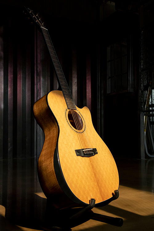 CORT Guitarra Acústica Gold Edge Nat C/Fun