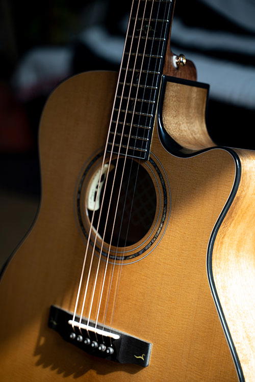 CORT Guitarra Acústica Gold Edge Nat C/Fun