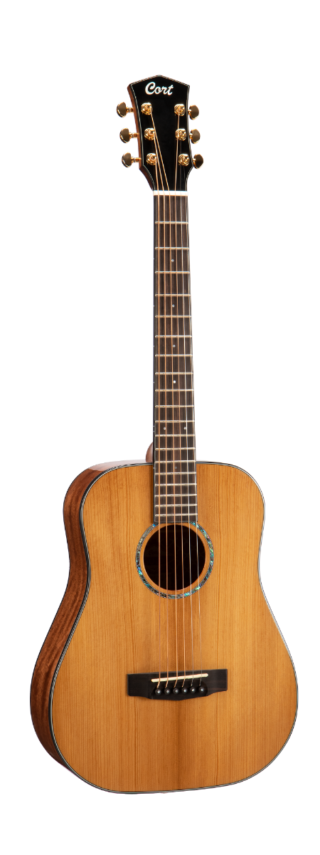 CORT Guitarra Acústica Gold Mini W/Case