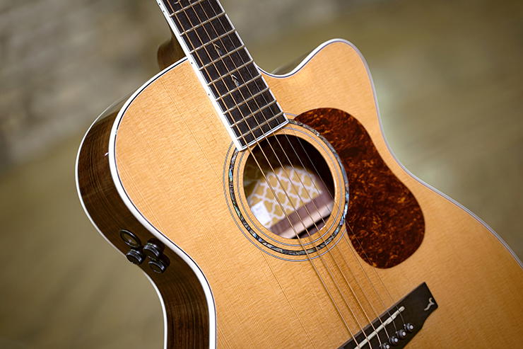 CORT Guitarra Acústica Gold-Oc8 Nat +Funda