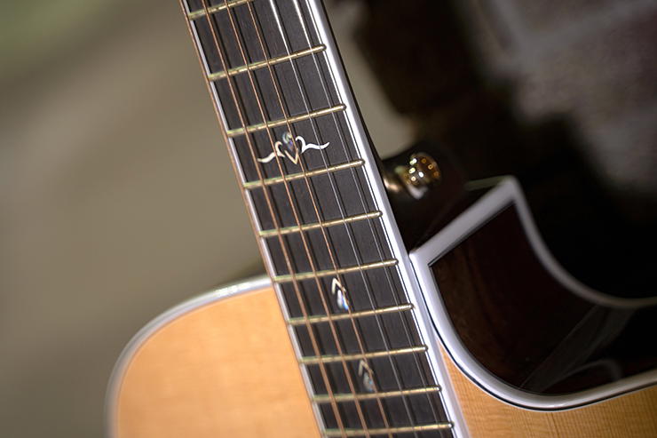 CORT Guitarra Acústica Gold-Oc8 Nat +Funda