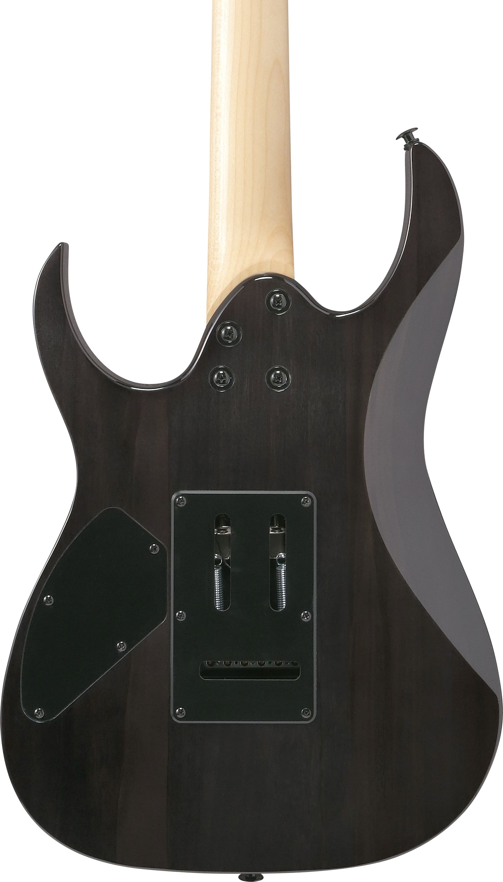 IBANEZ GRG120QASP BKG