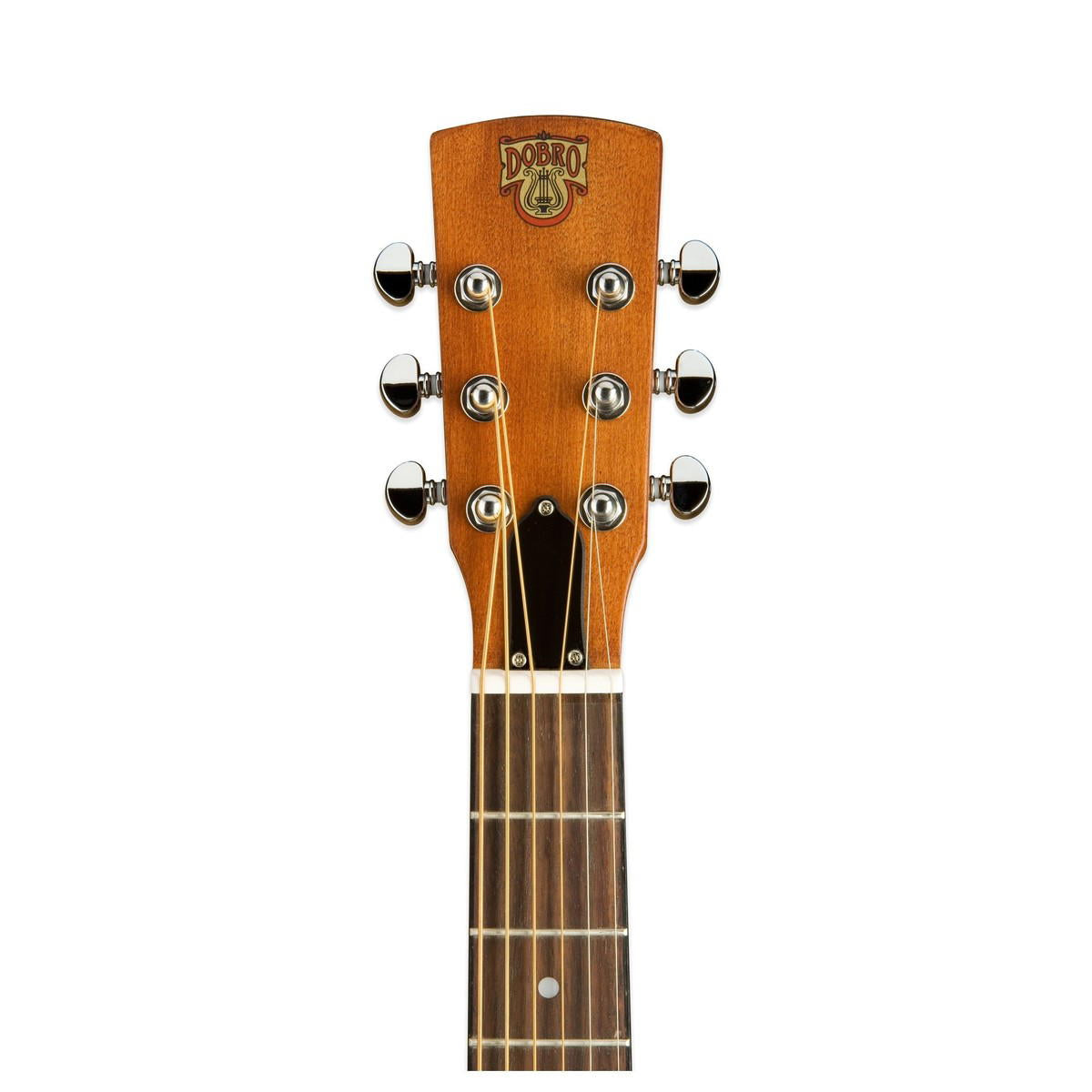 EPIPHONE DOBRO HOUND DOG DELUXE VINTAGE BROWN