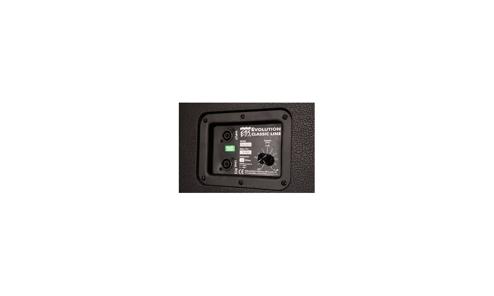 EBS PANTALLA BAJO CLASSIC 2x10" 8O - 250W