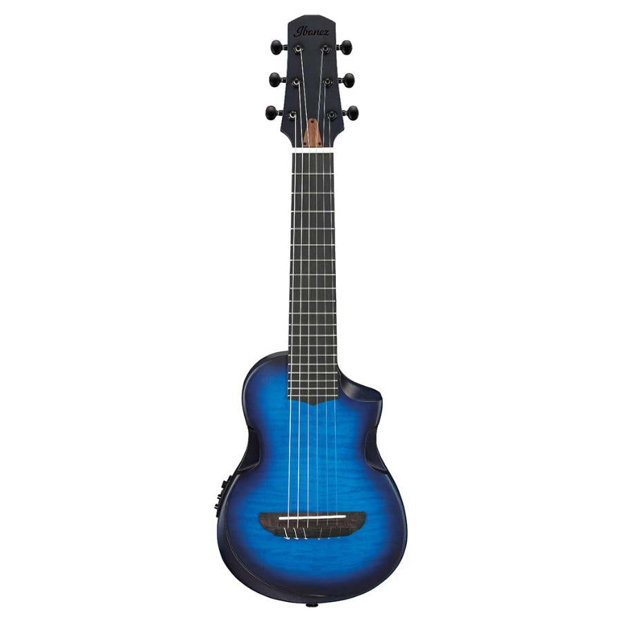 IBANEZ AUP10FMNE TBO 