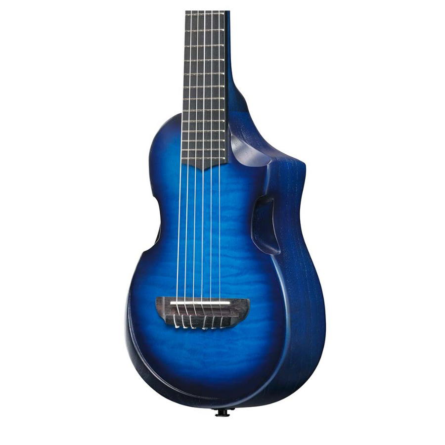 IBANEZ AUP10FMNE TBO 