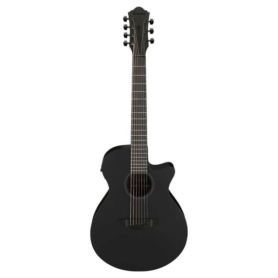 IBANEZ AEG721 BOT