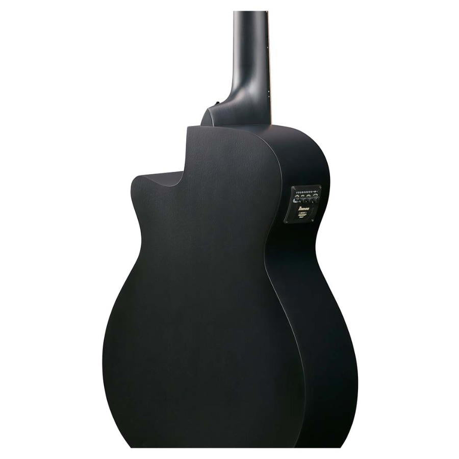 IBANEZ AEG721 BOT