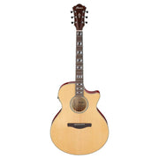 IBANEZ AE170 NTR
