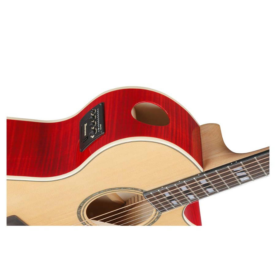 IBANEZ AE170 NTR
