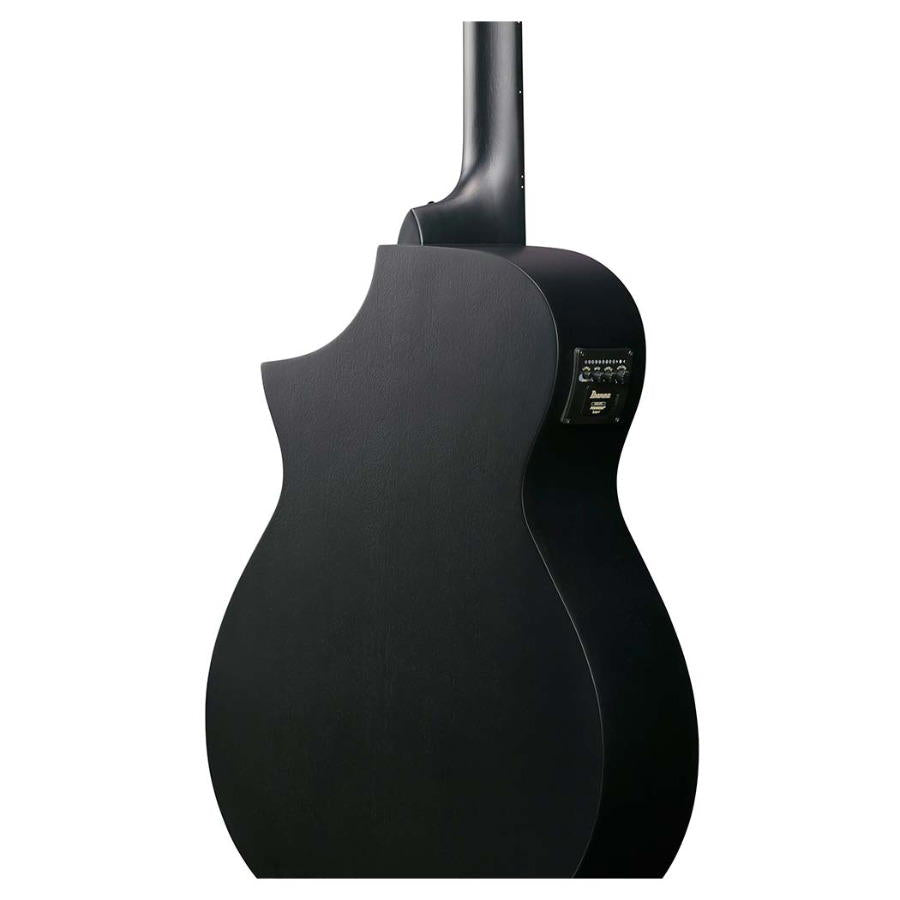 IBANEZ AEWC621 BOT