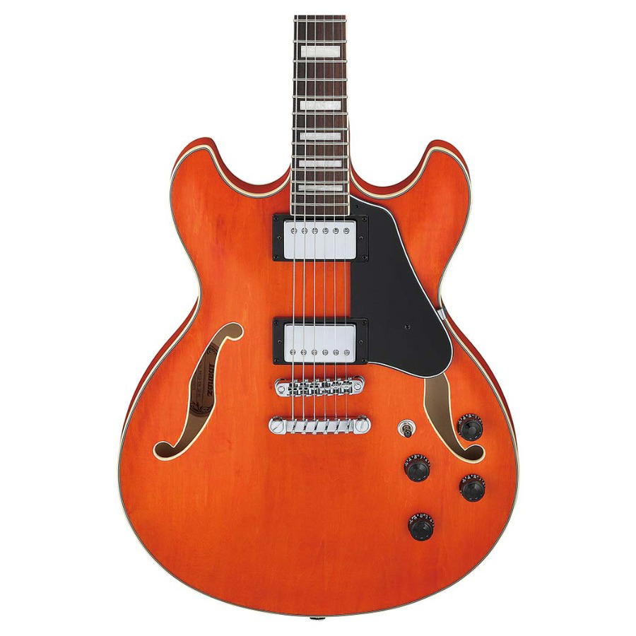 IBANEZ AS73 TTF 