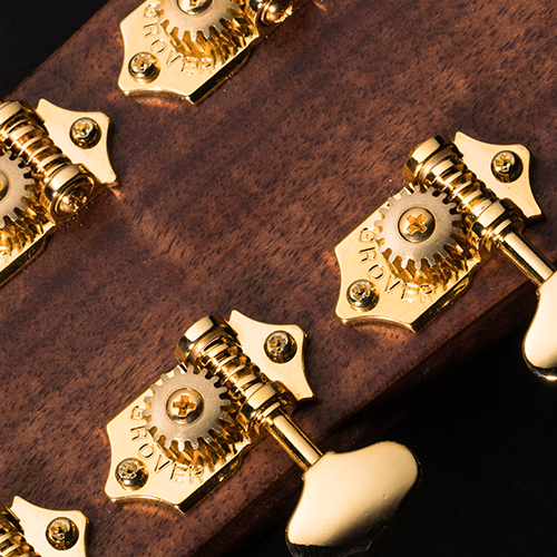 CORT Guitarra Acústica Gold-A6 Nat +Funda