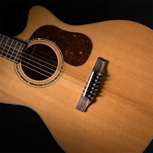 CORT Guitarra Acústica Gold-A6 Nat +Funda