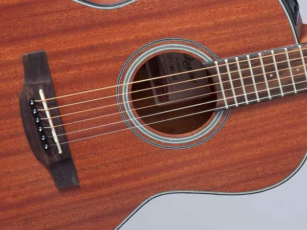 Takamine GY11 New Yorker Natural Satinado