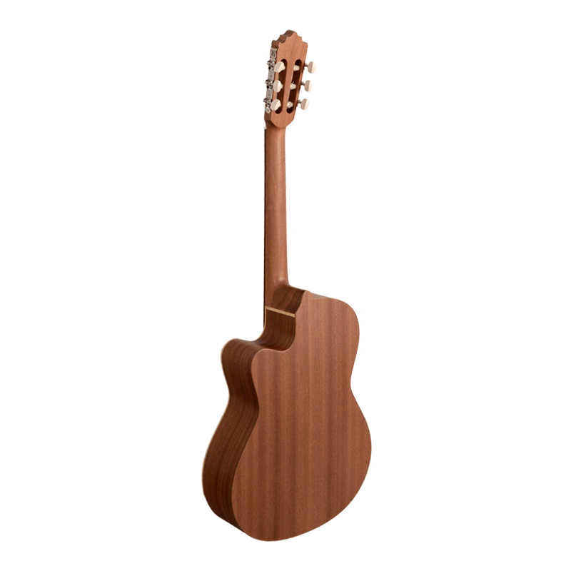 Paco Castillo Guitarra 221CCE
