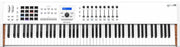 Arturia Keylab 88 MKII (B-Stock)