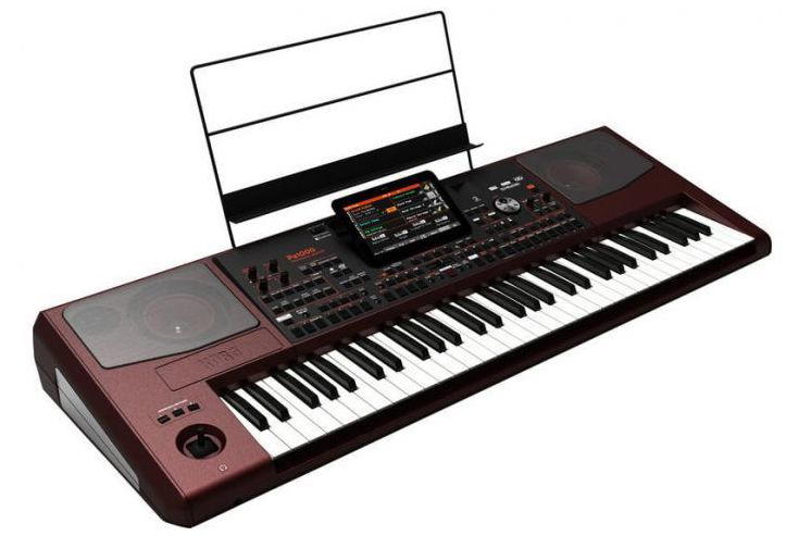 Korg PA1000