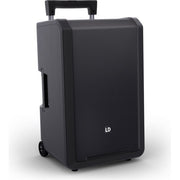 LD SYSTEMS ANNY 12