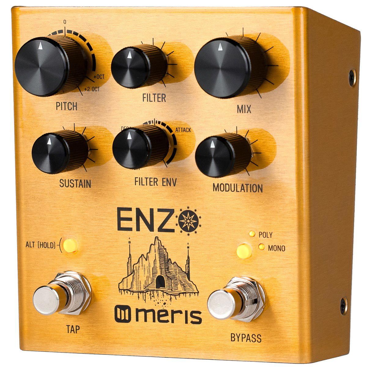 Meris Enzo