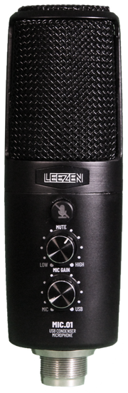 LEEZEN MIC01