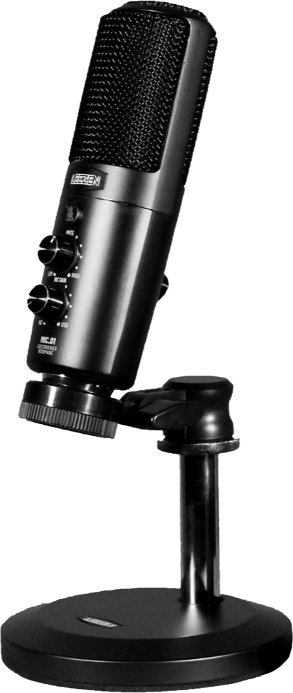 LEEZEN MIC01